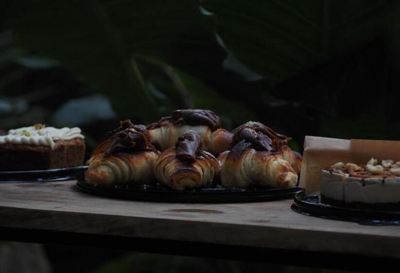 ホテル El Refugio De Sayulita   Health And Wellness House