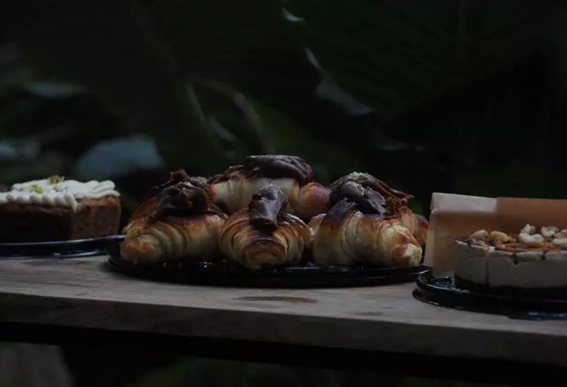 Hotelli El Refugio De Sayulita   Health And Wellness House