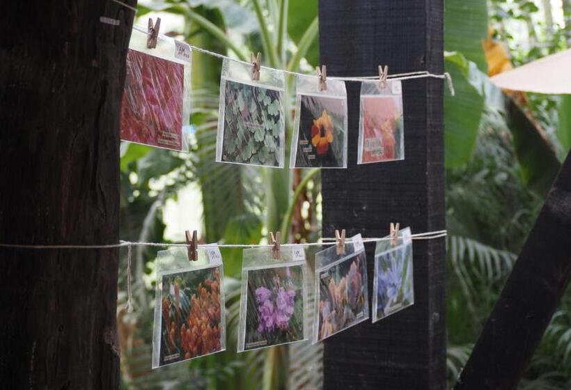 ホテル El Refugio De Sayulita   Health And Wellness House