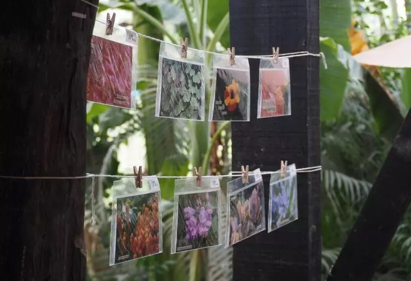 Hotelli El Refugio De Sayulita   Health And Wellness House