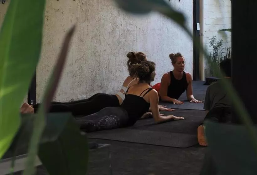 Hotelli El Refugio De Sayulita   Health And Wellness House