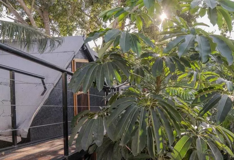 Hotelli El Refugio De Sayulita   Health And Wellness House