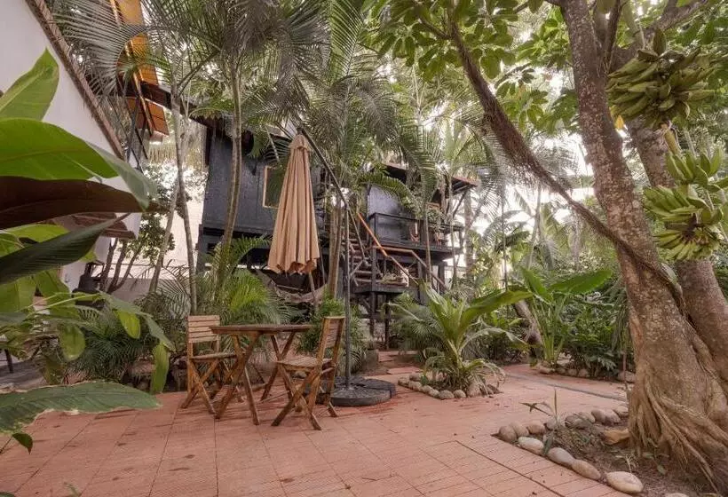Hotelli El Refugio De Sayulita   Health And Wellness House