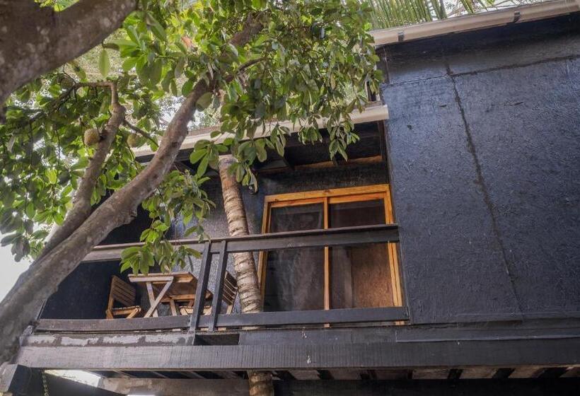 ホテル El Refugio De Sayulita   Health And Wellness House