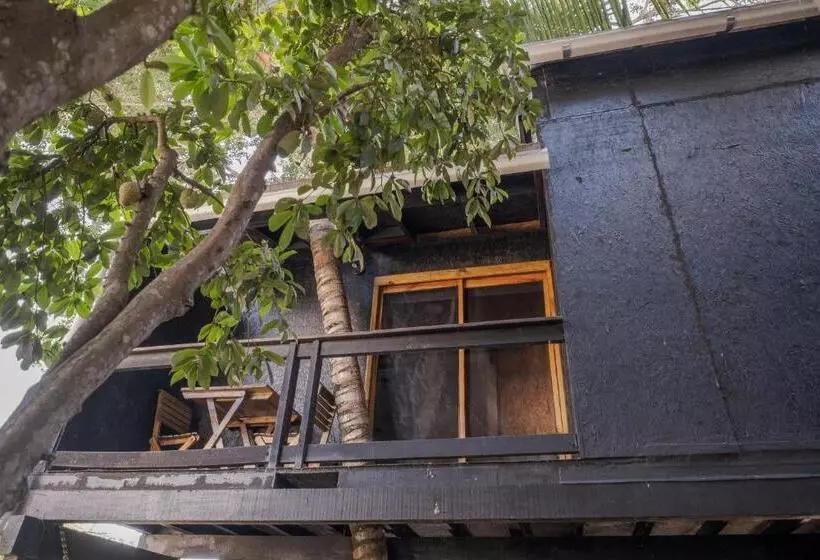 Hotelli El Refugio De Sayulita   Health And Wellness House