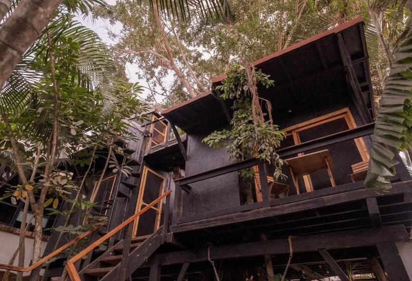 ホテル El Refugio De Sayulita   Health And Wellness House