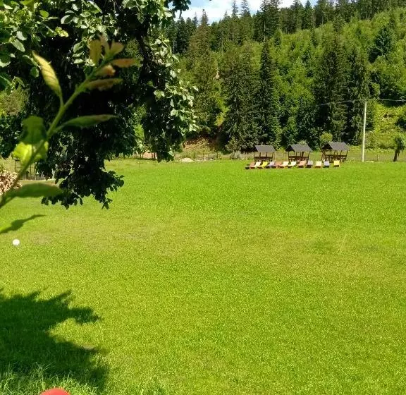 Majatalo Casa Bradul Voronet