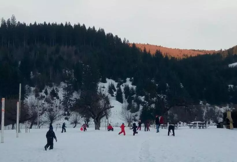 Majatalo Casa Bradul Voronet