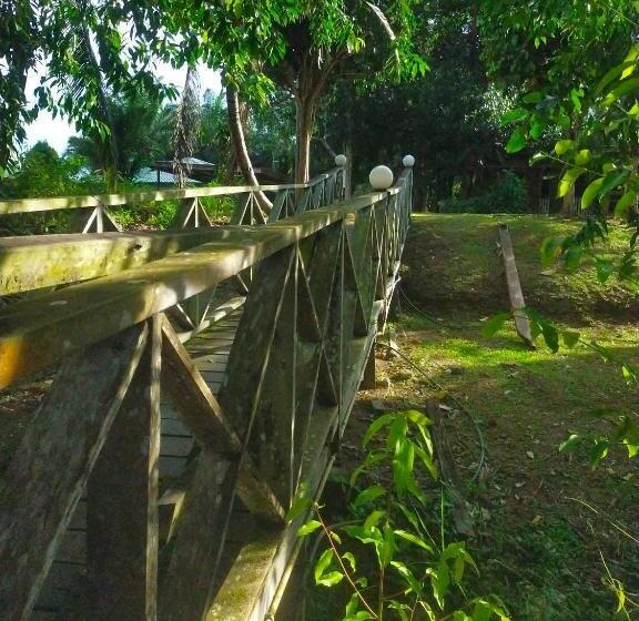 Sukau Tomanggong View Bed & Breakfast