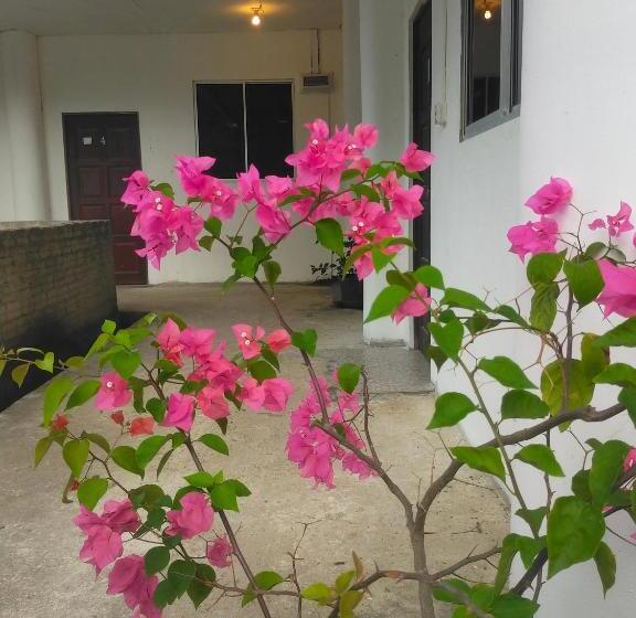 Sukau Tomanggong View Bed & Breakfast