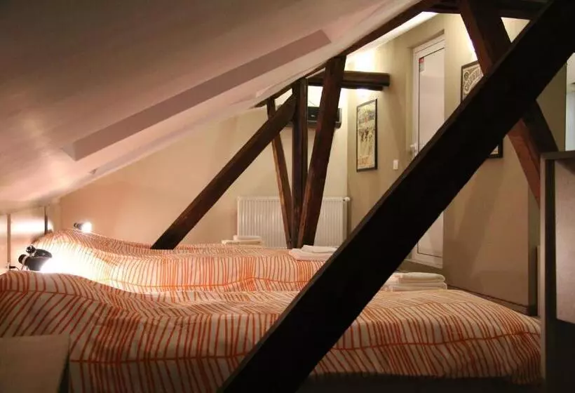 هاستل La Maison Ruse