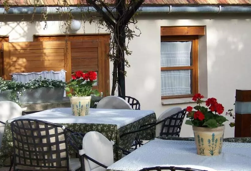 Hotelli Káli Art Inn