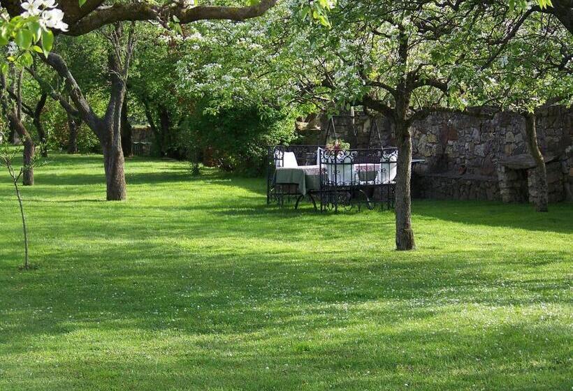 酒店 Káli Art Inn