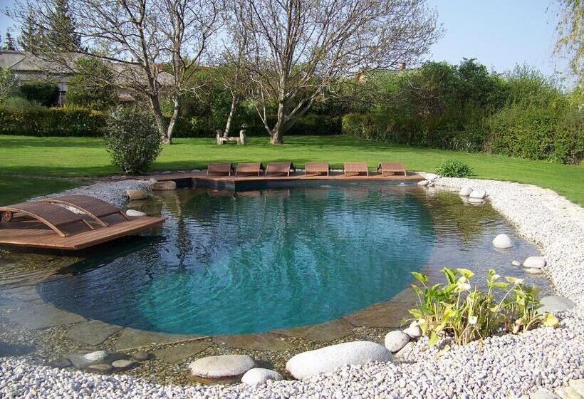 酒店 Káli Art Inn