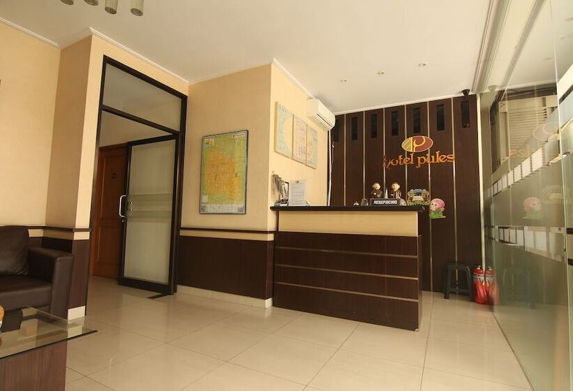 בית מלון כפרי Pules