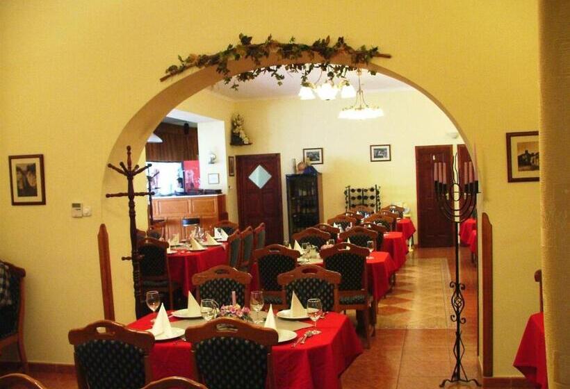 בית מלון כפרי Rákóczi Panzió