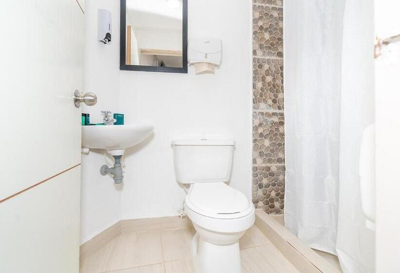 Отель Mazal Rionegro