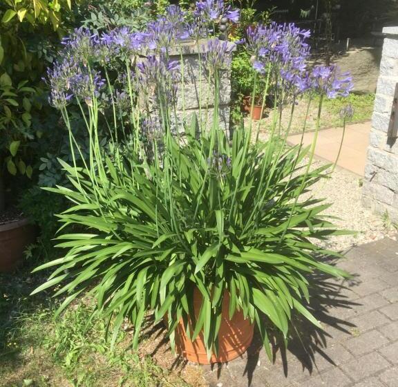 Pension Zur Freiheit