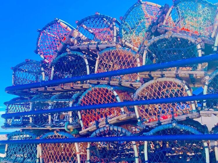 Beautiful 3 Bed Cottage With Stunning Sea Views