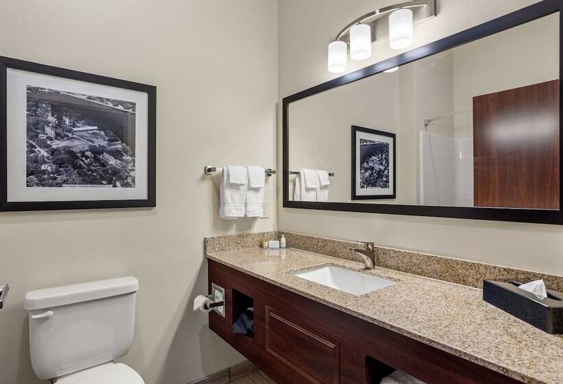 Cobblestone Hotel & Suites   Lynden