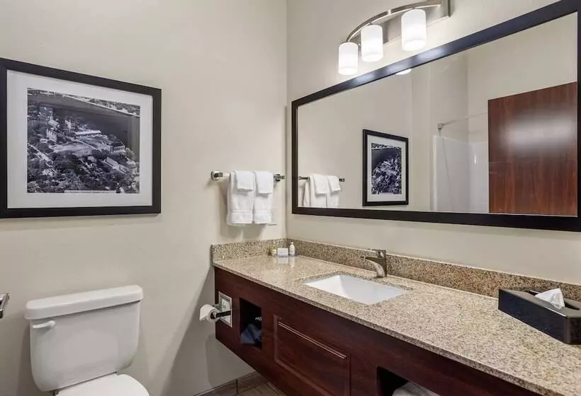 Cobblestone Hotel & Suites   Lynden