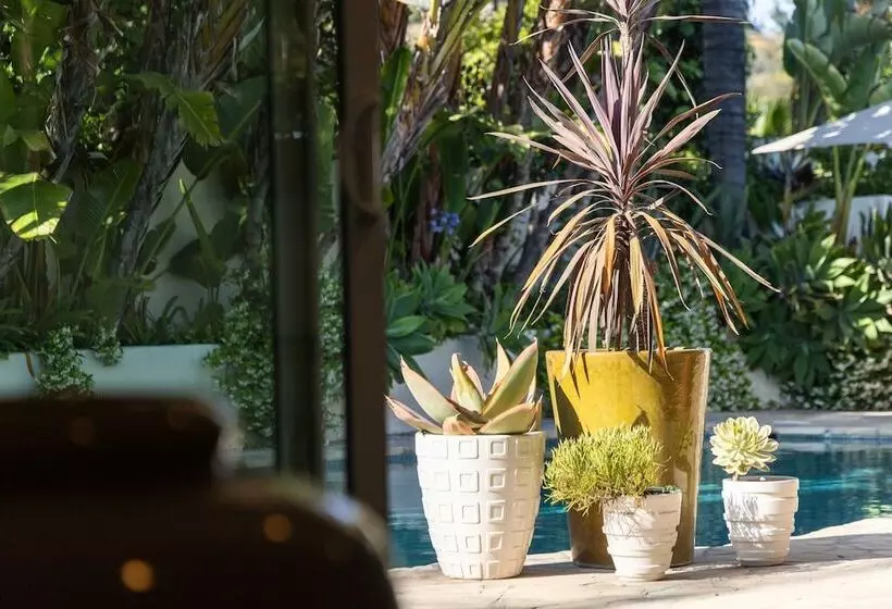 Edwin By Avantstay Hollywood Hills Luxury + Pool