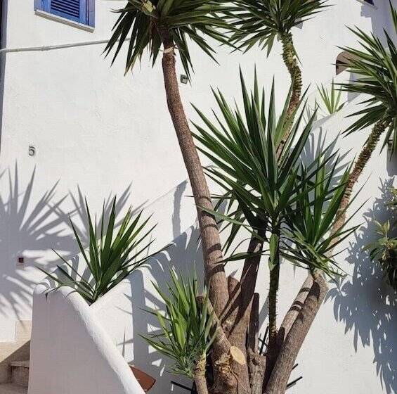 مسافرخانه San Daniele