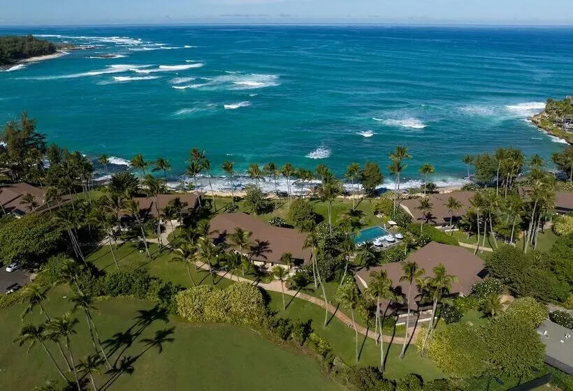 Ocean Bungalows At Turtle Bay Resort