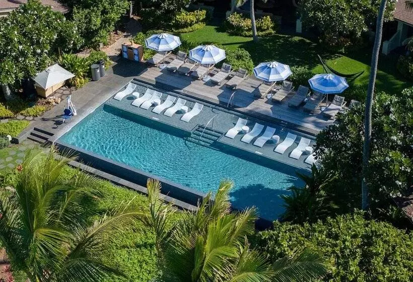 Ocean Bungalows At Turtle Bay Resort