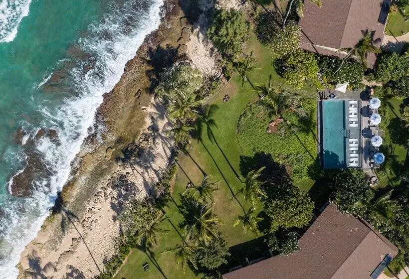 Ocean Bungalows At Turtle Bay Resort