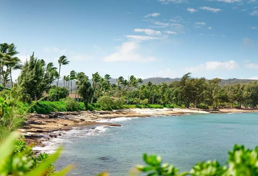 Ocean Bungalows At Turtle Bay Resort