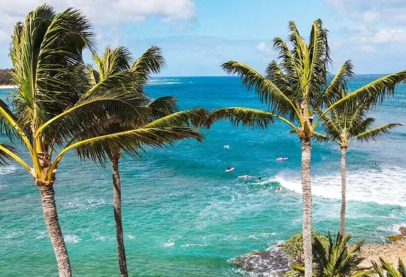 Ocean Bungalows At Turtle Bay Resort