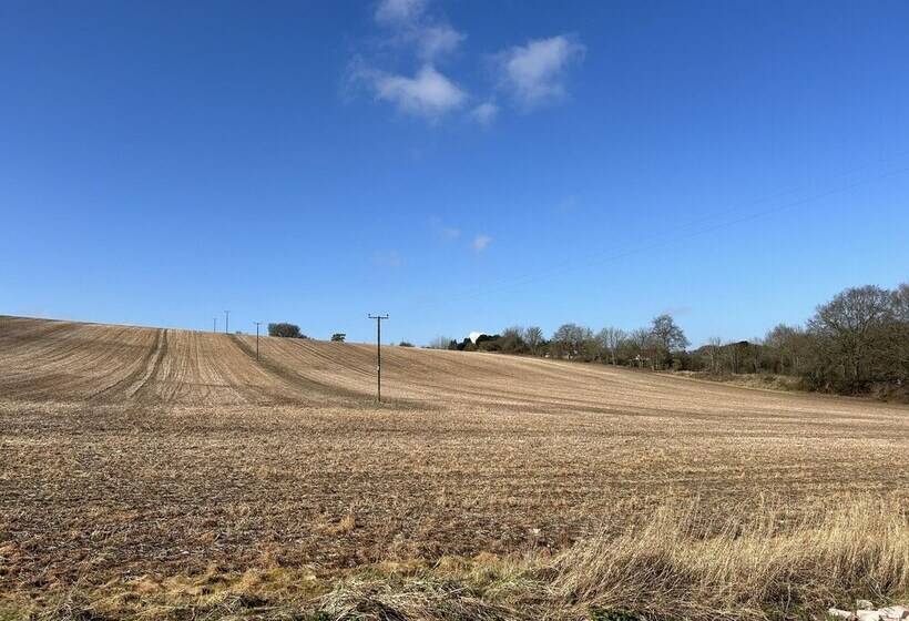Cozy King Bed Cabin To Relax & Unwind With Garden View