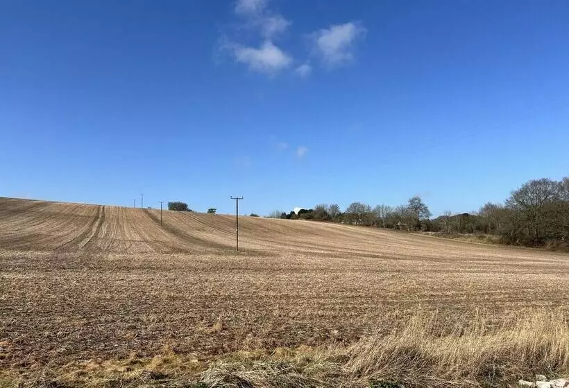 Cozy King Bed Cabin To Relax & Unwind With Garden View