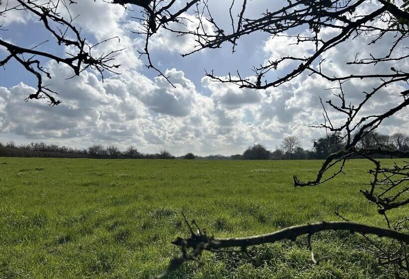 Cozy King Bed Cabin To Relax & Unwind With Garden View