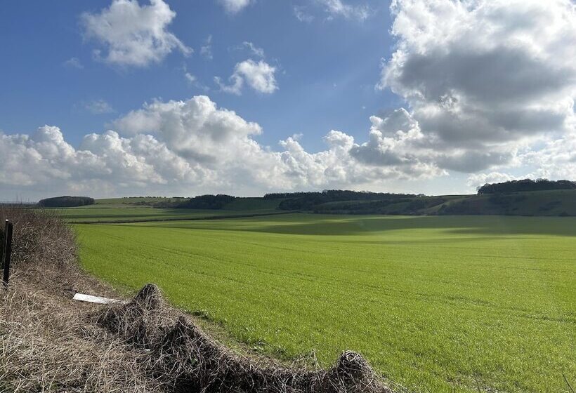 Cozy King Bed Cabin To Relax & Unwind With Garden View