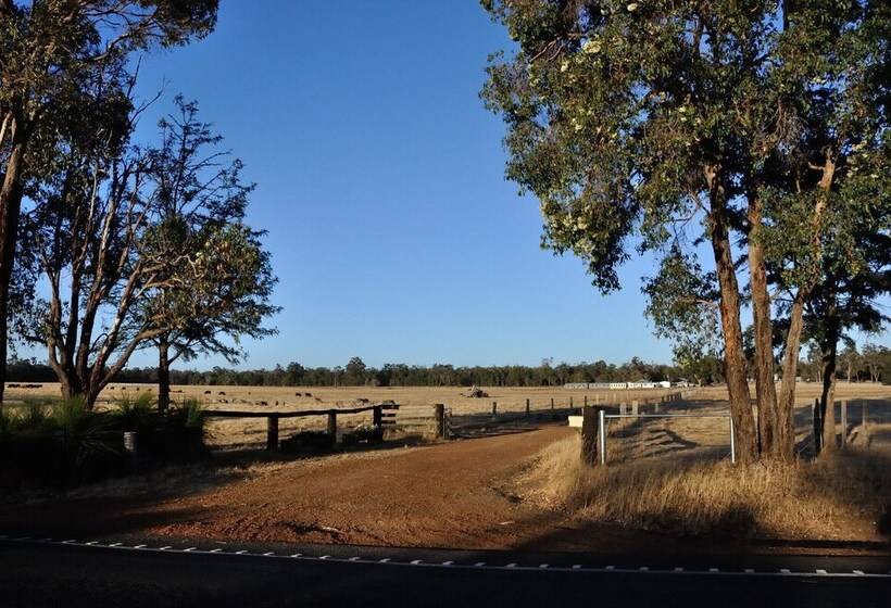 Wilga Farm Stay Shearer S Shacks Single