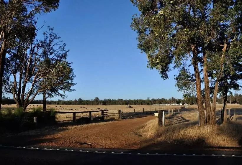 Wilga Farm Stay   Shearer S Shacks   Single
