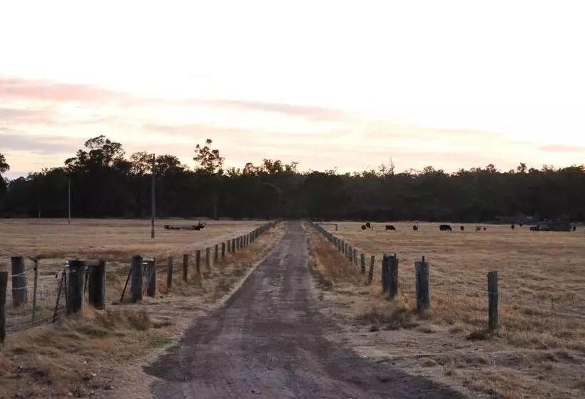 Wilga Farm Stay   Shearer S Shacks   Single