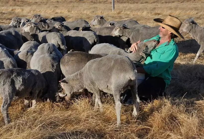 Wilga Farm Stay   Shearer S Shacks   Single