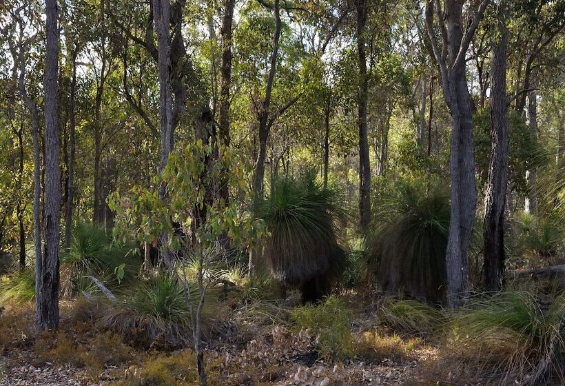 Wilga Farm Stay Shearer S Shacks Single