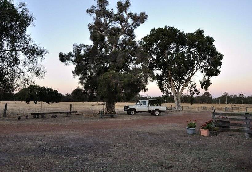 Wilga Farm Stay Shearer S Shacks Single