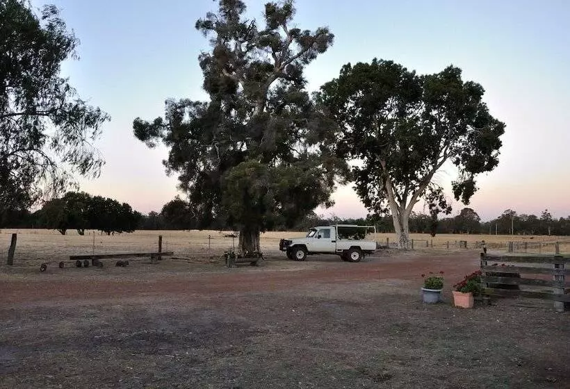 Wilga Farm Stay   Shearer S Shacks   Single