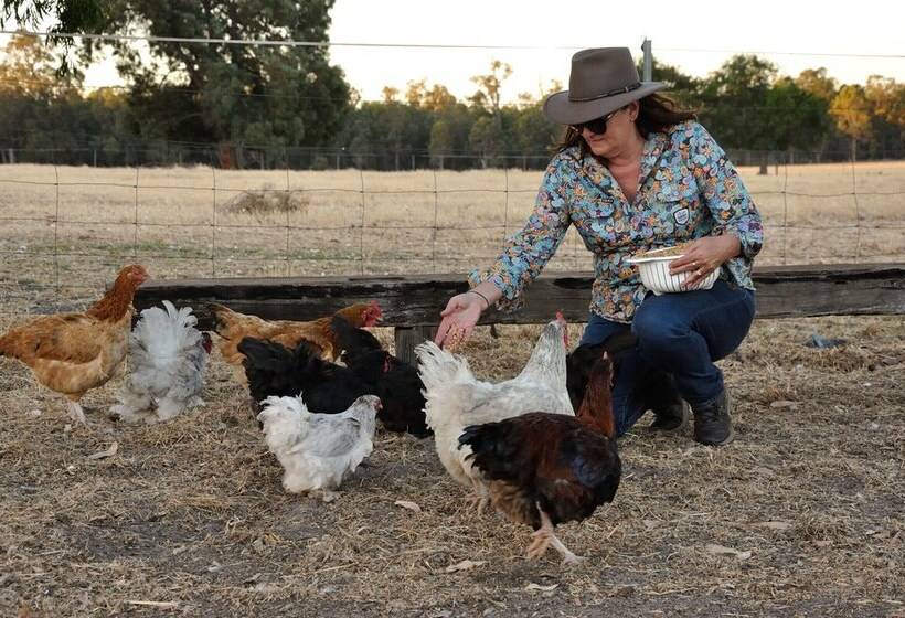 Wilga Farm Stay Shearer S Shacks Single