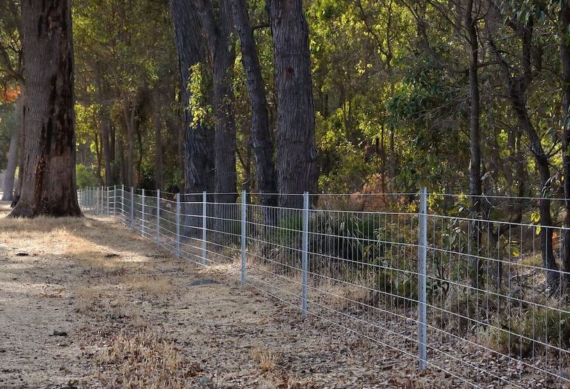 Wilga Farm Stay Shearer S Shacks Single