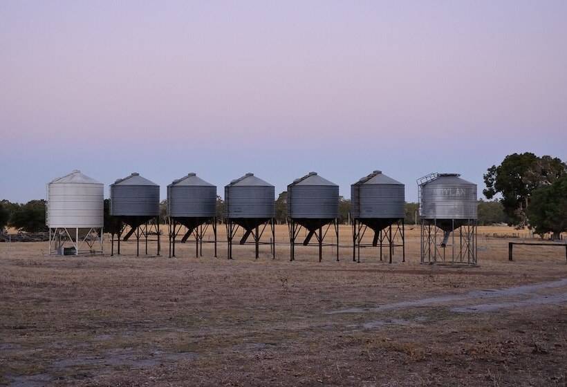 Wilga Farm Stay Shearer S Shacks Single