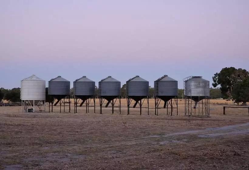 Wilga Farm Stay   Shearer S Shacks   Single