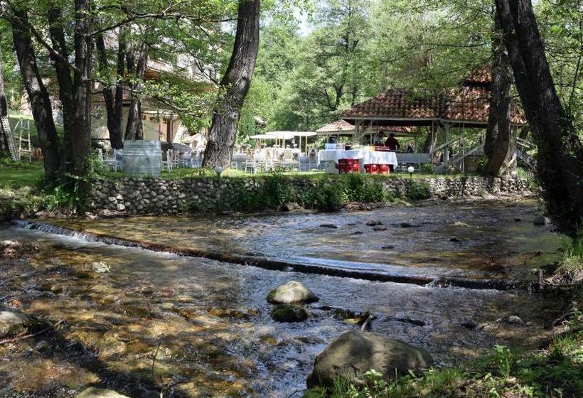 Отель Paradise Place