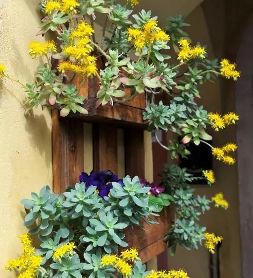 B&b Vicenza San Rocco