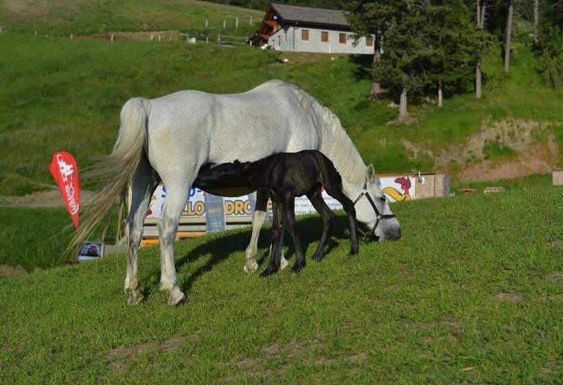 בית מלון כפרי Gallo Cedrone